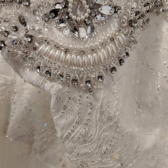 Oleg Cassini Size 22W Ball Gown - Picture 7 of 9